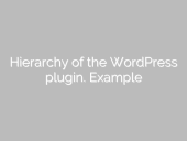 Hierarchy of the WordPress plugin. Example